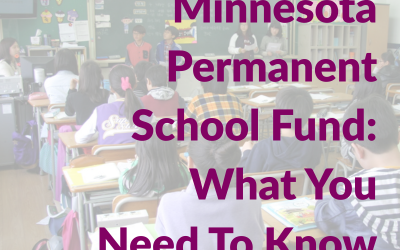 2026 Proposed Constitutional Amendment – What You Need to Know